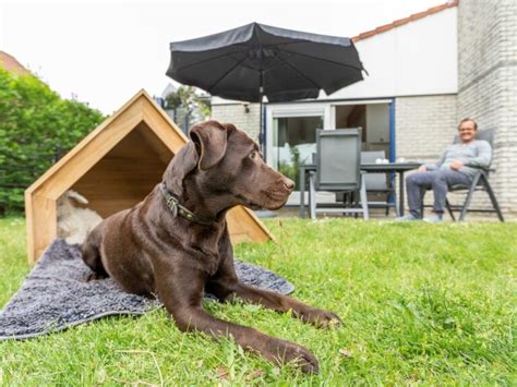 weekend weg met hond omheinde tuin|Weekendje weg met hond 